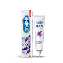 폴리덴트 맥스씰 의치부착재 틀니접착제 70g 1개, 상세페이지 참조