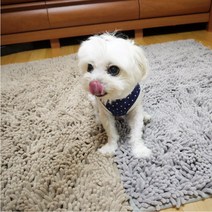 퍼피가드 강아지 노즈워크 매트 담요 소형, 베이지, 1개