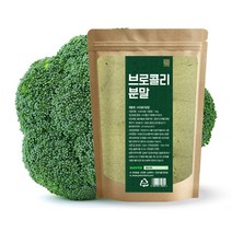 브로콜리분말 300g 브로콜리가루, 선택01- 브로콜리분말(국내산) 300g