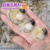 창영수산 고성 홍가리비, 홍가리비 5kg, 1개