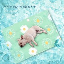여름 애완 동물 아이스 매트 개 고양이 잠자는 매트, 선인장