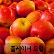 엔피솝 사과 플레이버오일-(cosmetic 등급)립밤만들때첨가 DIY 만들기, 50ml