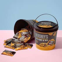 허쉬 초콜릿칩 쿠키 456g / 대형통, 없음, 1개
