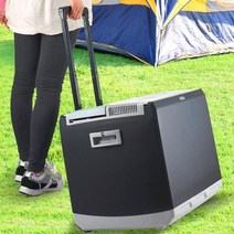 파세코 220v 12v 차량용 대형 쿨러 냉온장고, PCC-H044AD