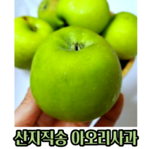 새콤달콤한 아오리 사과 2 3 5 8 10kg(꼬마 중대 랜덤)새콤달콤 썸머킹 여름 가정용 못난이 풍미 풍기는 아오리사과 햇 아오리 초록사과 청사과못난이 꿀사과 선물세트 황금사과, 3kg꼬마소과