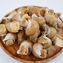 동해안 자연산 자숙 생물 급냉 백고동 백골뱅이 1Kg, 완전손질 자숙 백고동 250g