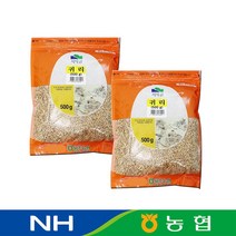 농협 국산 귀리 500g 1+1, 1세트