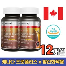 1년 프로폴리스 플라보노이드17 청소년 수험생 임산부 가족 찬바람불때 푸로폴리스 로얄