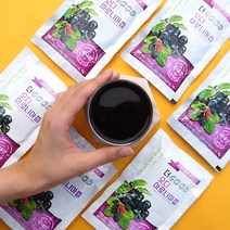 프레시데이 프리미엄 토종 오디아로니아즙 진액, 90봉, 100ml
