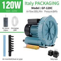 업소용 기포기 브로와 고압 와류 송풍기 원심 산업용 강력한 공기 진공 물고기 분당 300L, 4.Italy Packaging