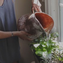 [캔들이케아] 아브 델 카데르 국내산 프래그런스오일, 500ml