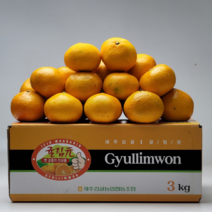 [제주직송] 복불복 없는 고당도 제주 타이벡 감귤 타이백귤 2.5kg 4.5kg 소과 중과 로열과, 타이백감귤(S)4.5kg