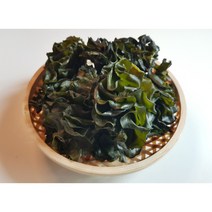 [다채로운밥상] 아몬드증정 이거다싶은 진도 자연산 미역귀 200g