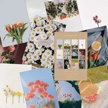 오늘의꽃 엽서 12종 세트, 없음