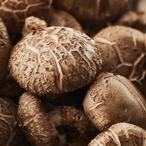 무농약 표고버섯 상특(1kg)/실속형(2kg), 1.표고버섯(상특)1kg