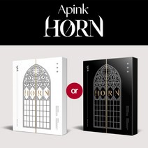 에이핑크 Apink 스페셜 앨범 HORN 딜레마