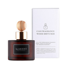 에이센트 차량용 네이처 디퓨저 120ml, 포레스트워크, 2개