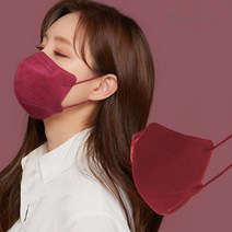 에어에이드 퍼스널컬러 2D 마스크 새부리형 대형, 1개입, 50매, 와인