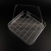 멸균 스퀘어 디쉬(10개입) /Square dish 눈금 Petri 사각 패트리 샬레 일회용 페트리 배양 접시 폴리스틸렌 플라스틱 실험 용 시험 연구소 영재 과학 큰 눈금