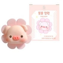 디오늘 동물정원 차량용 방향제 통풍구형 본품+리필 2p 세트, 해피 돼지, 1박스