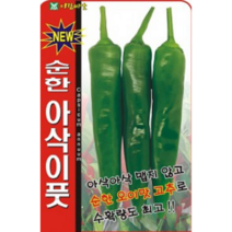 오이맛 순한 아삭이풋고추 씨앗(50립)(A0153)