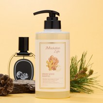 제이엠솔루션라이프 진저 우드 헤어 퍼퓸 샴푸 500ml, 1개