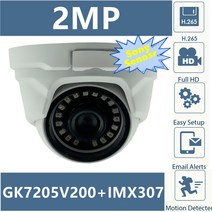 CCTV 현관 돔카메라 CCTV 펫 가정용 cctv 이글루캠 집안 캠 금속 돔 카메라 저조도 적외선 모션 감지시시티비 외부 설치 강아지, 카메라 오디오, 2.8mm