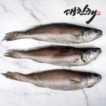대천해 반건조 민어 600g(3미) 1미 X 3팩
