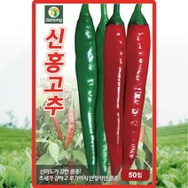 갑조네 열매 채소류 씨앗 모음, 1개, 신홍고추(씨앗)
