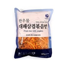 한우물 냉동볶음밥 대패삼겹볶음밥 300g 즉석밥, 300g, 1봉