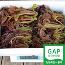 선녀골 산지직송 자연산 가죽나물 가죽순, 1개, 1kg