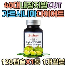 40대 내장지방 빼는법 10KG감량 가르시니아 다이어트 5KG 단기간 한달 두달 1달 2달 HCA 상체 허벅지 처진 뱃살 비타민 체지방 감소 보조제 컷팅제 커트 억제제 탄수화물