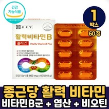 종근당 활력 비타민B 플러스 8종복합 수용성 비타민 클로렐라 블루베리 채소 농축 혼합 분말 건강기능식품, 1박스, 활력비타민B 플러스 X 60정