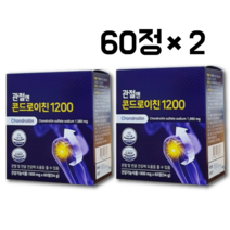 지성 관절엔 콘드로이친 1200 2개월