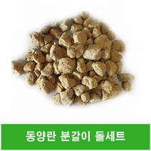 동양란 분갈이돌세트(대 중 소립)난석 휴가토+사은품36ml영양제10개