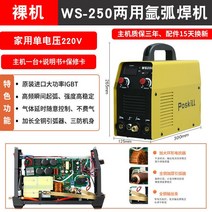 알곤 용접기 아크 아르곤 공업용 전기 스폿 가정용, 단일사이즈, A_WS-250 2노브