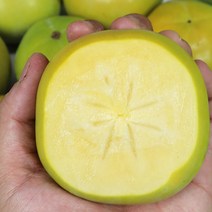 경남 밀양 태추단감 4.5kg 실속, 단품없음