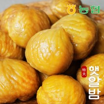 [농협] 토실토실 햇밤 순창 알밤 특대 (제수용), 1박스, 특대 10kg