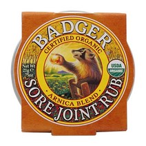 뱃져 Badger 오가닉 소어 조인트 럽 미니 틴 아르니카 블렌드 21g, 1개