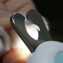 [애견발톱정리기] woollyoly 울리올리 반려동물 LED 발톱깎이 강아지 고양이 손톱 혈관 확인, 블루