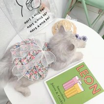 자두마켓 고양이원피스 프리티 꽃무늬 리본 원피스 공주 드레스, 멀티