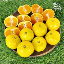 제주 서귀포 하우스귤 감귤 제주도 귤 밀감 3 5 10kg, 1박스, 5kg 프리미엄과(S)