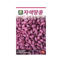 자색땅콩씨앗 20g 노화방지 효과 초세 강함 재배 용이, 단품