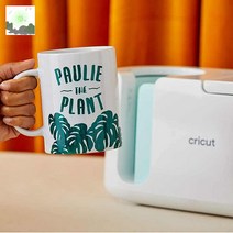 크리컷 프레스 머그 관부과세, 단일