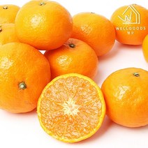 [웰굿] 당도선별 제주 카라향 2kg(8-12과 대과 15brix이상), 상세 설명 참조