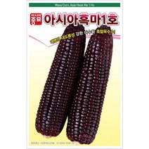 옥수수씨앗) 흑마1호(700g) S2593
