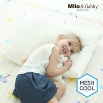 밀로앤개비 [밀로앤개비] 매쉬 베개솜 (70x50), 단품없음