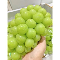 허니삼구 추석 명절 선물세트 망고맛포도 특품 프리미엄 샤인머스켓 2KG 4KG, 특품4kg(4~6송이), 1개