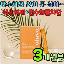 탄수화물 차단 식욕 억제 식이섬유 다이어트 보조식품 차전차피 섬유질 많은 음식 하복부 장가스제거 보조제 대장청소 장청소 섬유소 자전자피 잦은방귀 배변활동 복부가스 쾌변하는법