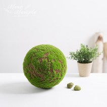 네추럴이끼볼(18x18cm)_M NA210621, 단품